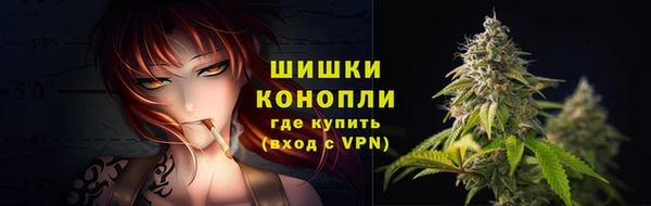 тгк Горняк