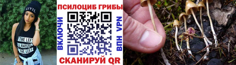 Купить где  Приморск  Псилоцибиновые грибы MAGIC MUSHROOMS 