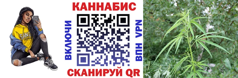 Купить  Приморск  Бошки марихуана планчик 
